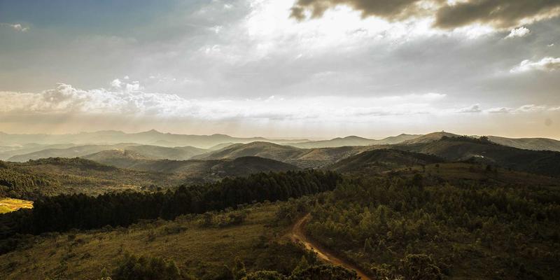 从禅意到算法:构建你的第一个多因子选股模型,开启智慧财富管理之旅