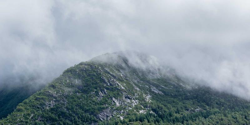 基金定投实操全攻略:巧用金融科技,三步构建盈利型资产配置