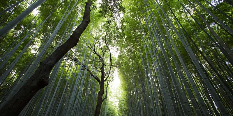 她时代财富觉醒:从独立账户到家族传承,现代女性的财务自由全攻略