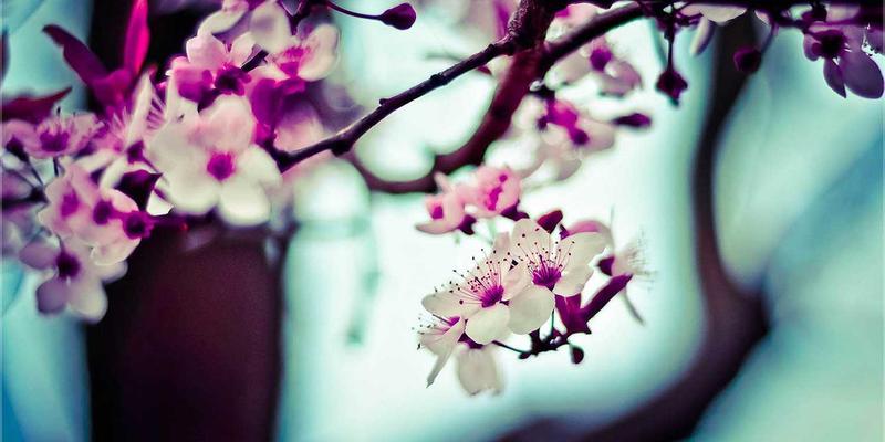 家庭理财规划:用年度财务目标,开启你的财富管理新篇章