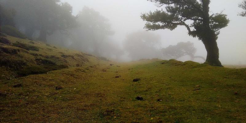 数字游民的禅意理财：构建全球化投资组合与税务规划的文化财富之旅