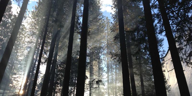 穿越迷雾的智慧：私募证券投资基金（对冲基金）筛选实战指南