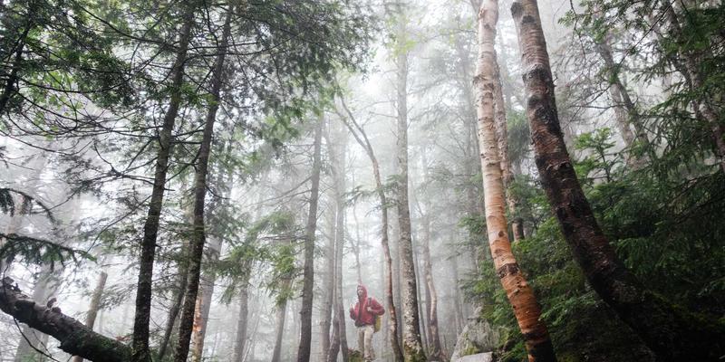 退休规划必修课:如何用年金保险与反向抵押贷款抵御长寿风险?