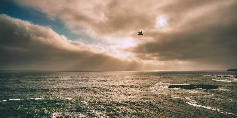 震荡市中的财富密码:巧用铁鹰式价差等期权策略实现稳健资产增值